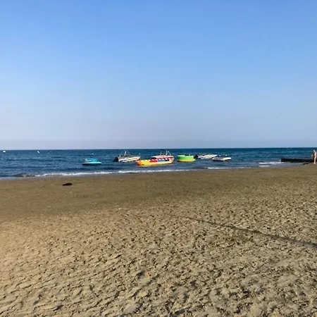 Stylish In Larnaca